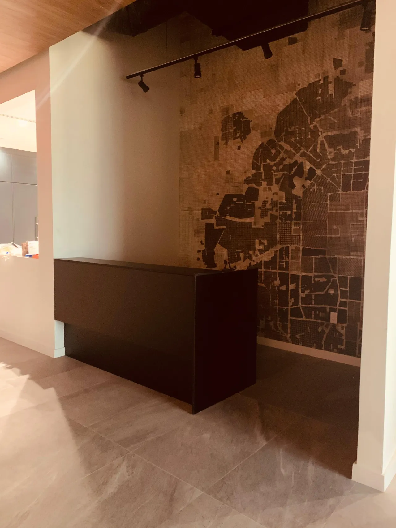 Reception area with a dark low reception desk against an aerial map mural wall, track lighting above, wood-slat ceiling detail visible