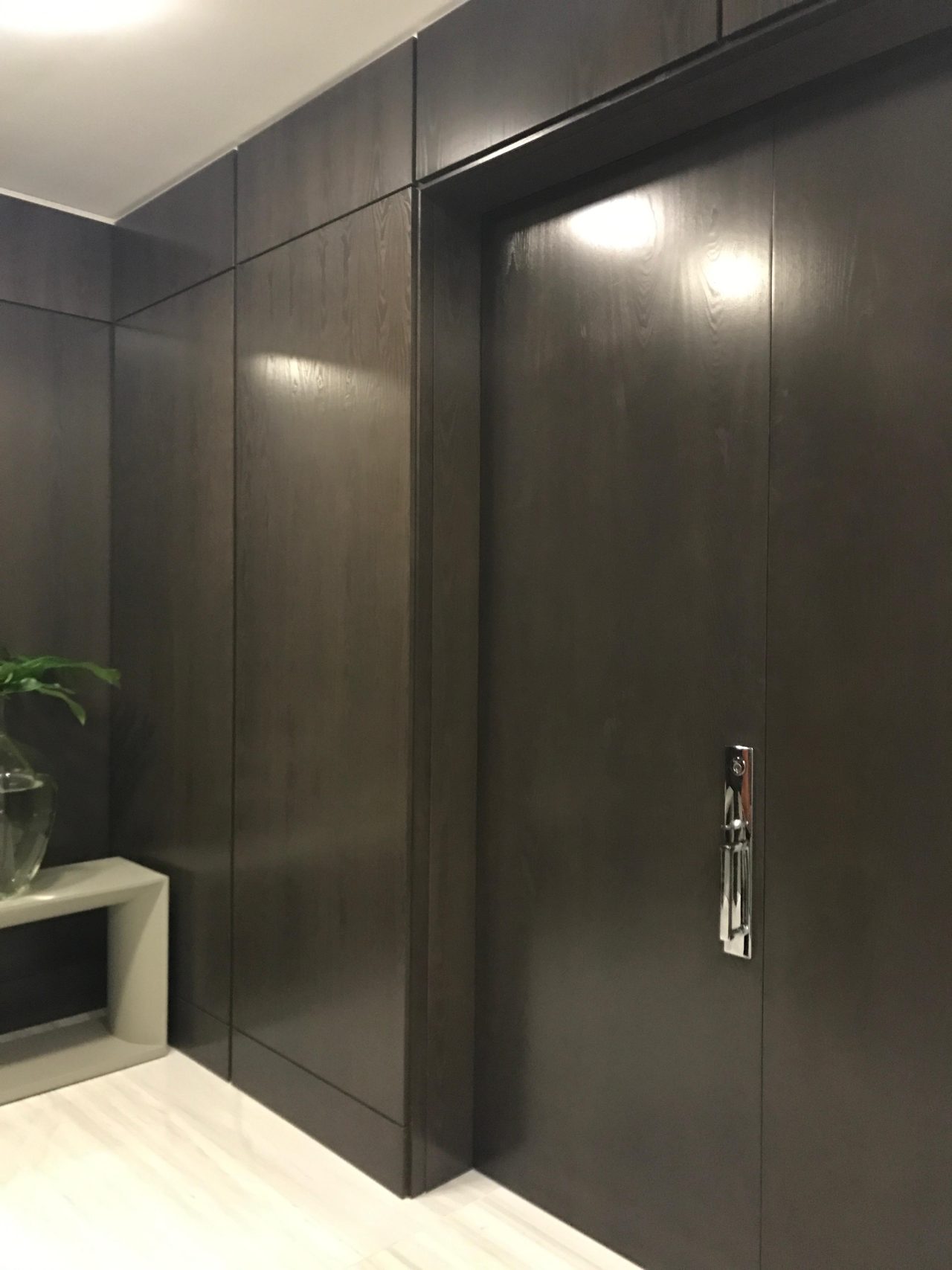 Dark wood-grain paneled wall with a tall flush door and polished metallic vertical handle, light console with a leafy plant in a glass vase at left